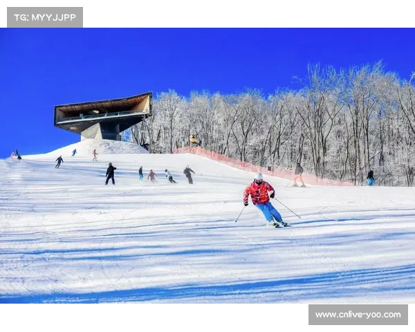 冰雪赛事牵引多领域协同,吉林借大众冰雪季推经济高质量发展